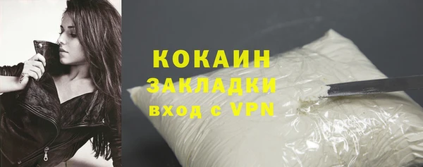 шишки Краснослободск