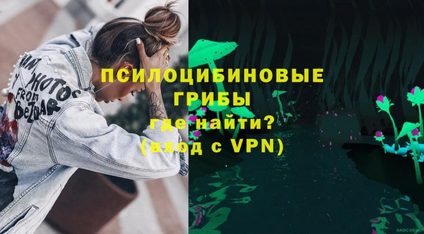 шишки Краснослободск