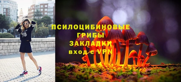 шишки Краснослободск