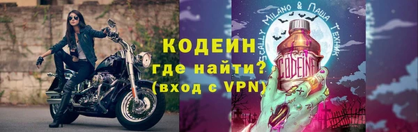 шишки Краснослободск