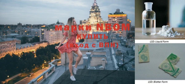 шишки Краснослободск